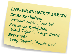 Empfehlenswerte Sorten