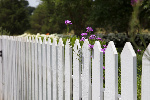 Der perfekte Gartenzaun