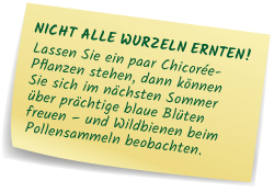 Wurzeln ernten