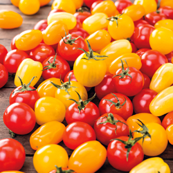 Cherrytomaten-Mix