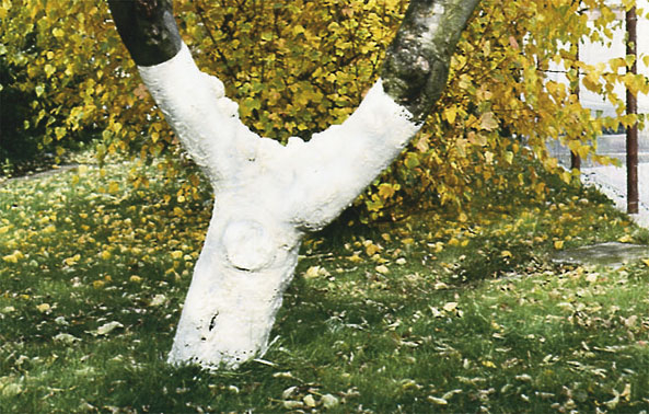 BioBaumanstrich von Neudorff