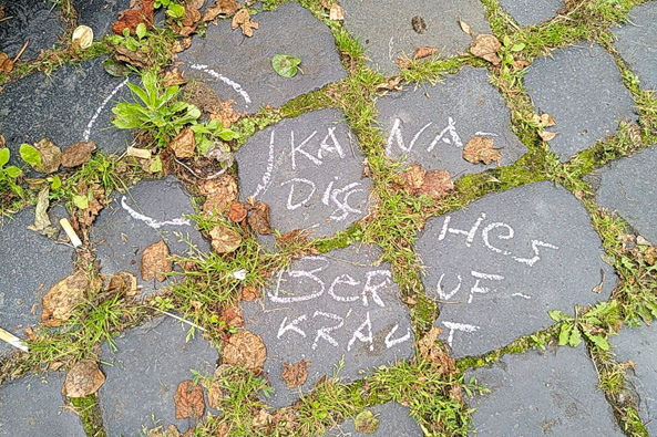 Bundesweite Aktion „#Krautschau“