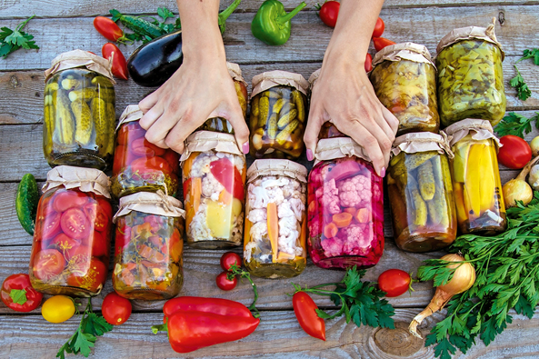 Haltbarmachen durch Fermentieren