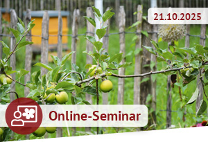 Online-Seminar am 21.10.2025