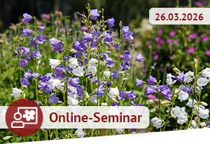 Online-Seminar am 26.03.2026
