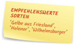 Empfehlenswerte Sorten