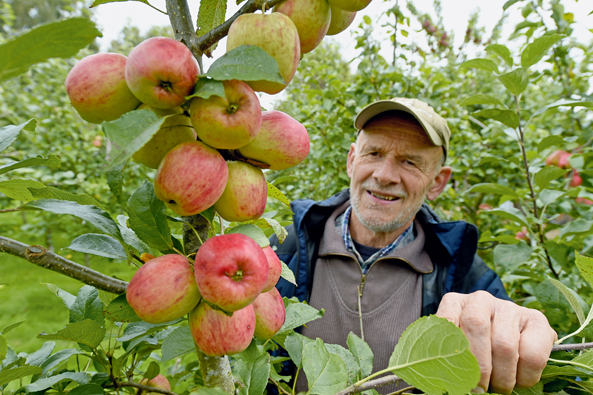 Alte Obstsorten
