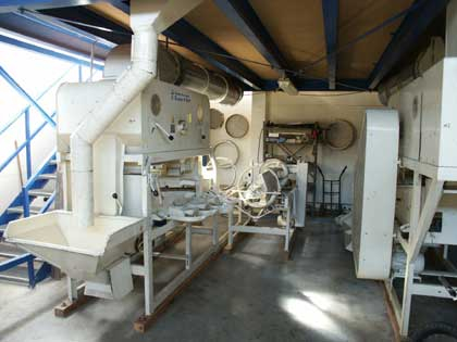 maschinelle Reinigung