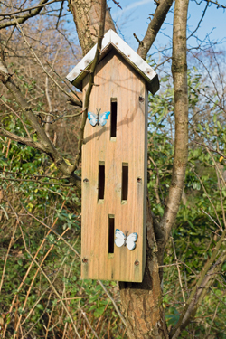 Schmetterlingskasten
