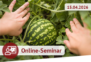 Wassermelonen im Gewächshaus und Freiland