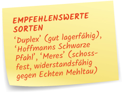 Empfehlenswerte Sorten
