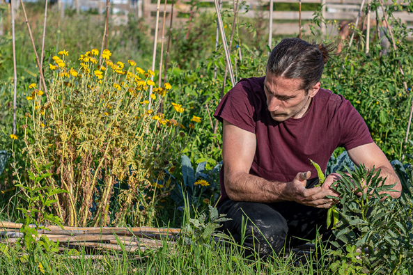 Permakulturen Permakulturen