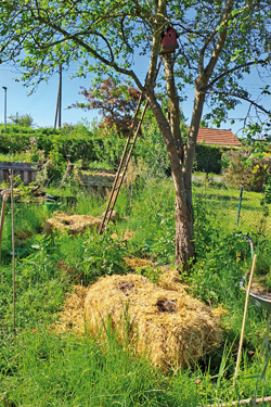 Strohballenbeet Strohballenbeet