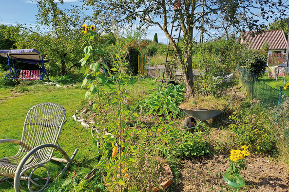 Bepflanzte Baumscheibe Bepflanzte Baumscheibe