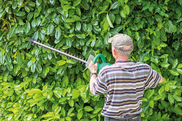 Problematisches Schnittgut