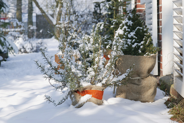 Rundumschutz für Töpfe Rundumschutz für Töpfe