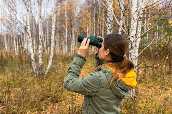 Naturbeobachtungen Naturbeobachtungen