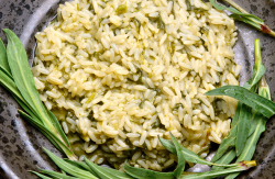 Essbares Taubenkropf-Leimkraut Essbares Taubenkropf-Leimkraut