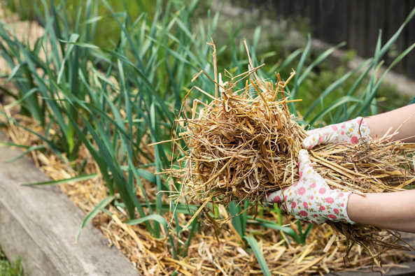 Hochbeet winterfest machen