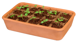 Anzuchtkasten aus Ton