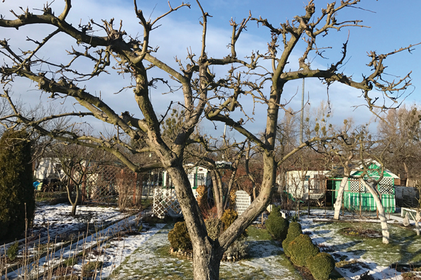 Blick in den Garten, auch im Winter