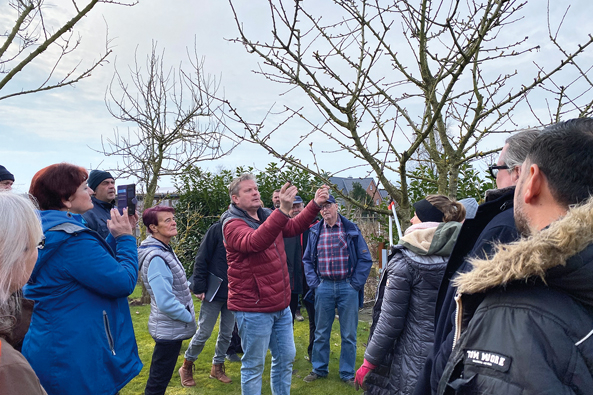 Schnitt von Obstgehölzen