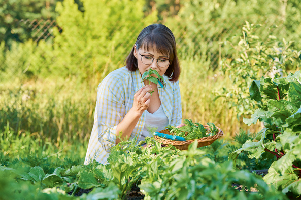 Kräuter verbreiten aromatischen Duft