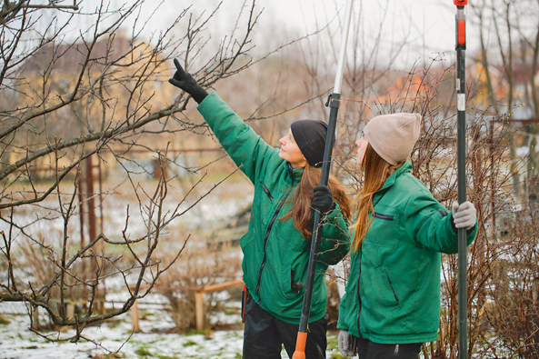 Optimale Schnittstellen