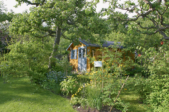 Obstbäume im Kleingarten