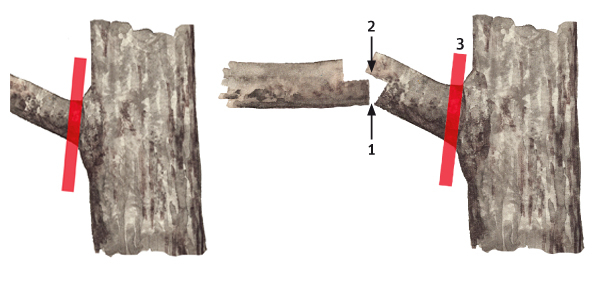 Schnittmöglichkeiten