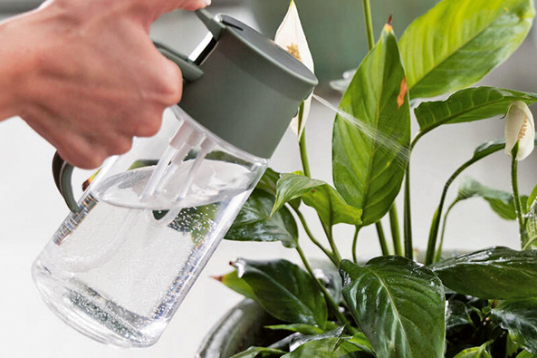 Gießkanne von Fiskars