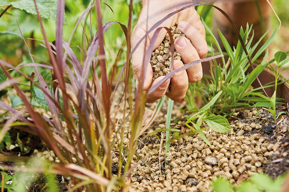 Schützende Bodenabdeckung Schützende Bodenabdeckung