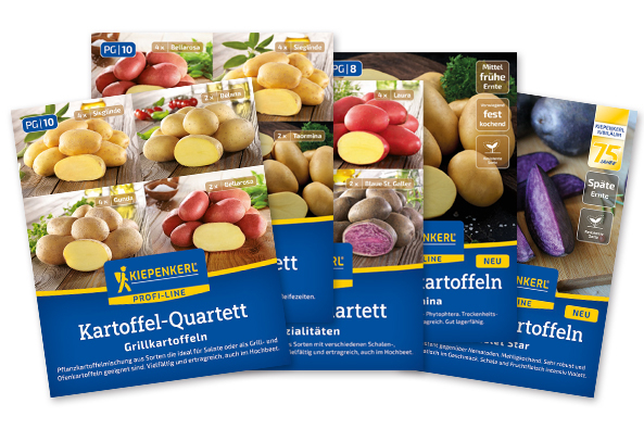 Pflanzkartoffeln von Kiepenkerl Pflanzkartoffeln von Kiepenkerl