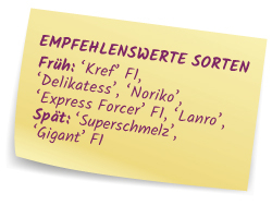 Empfehlenswerte Sorten