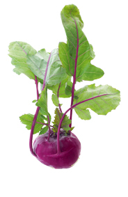 Kohlrabi