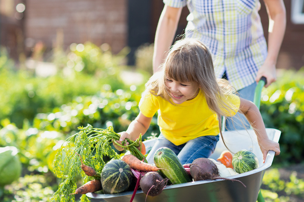 Gemüse für jeden