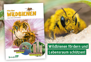 Gartenfreund Spezial - Wildbienen