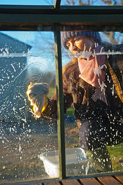 Frühjahrsputz starten