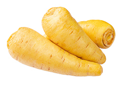 Arracacha-Wurzeln