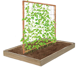 Modernes Rankgerüst