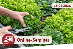 Online-Seminar am 13.05.2026
