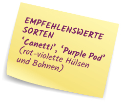Empfehlenswerte Sorten