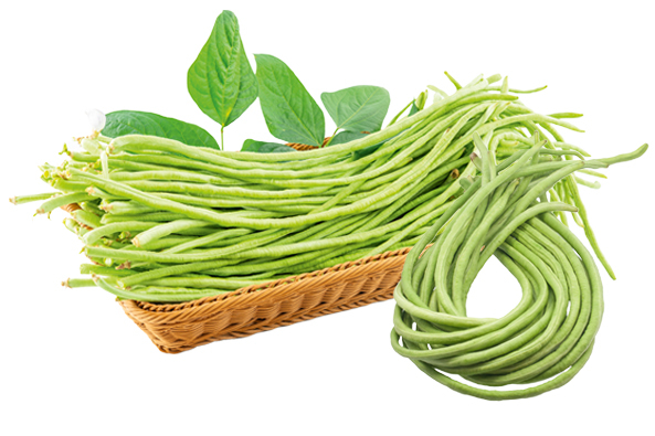 Spaghetti- und Schlangenbohnen