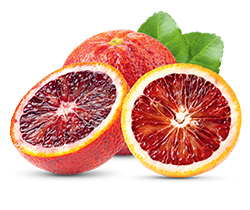 Blutorange ‘Moro’