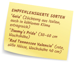 Empehlenswerte Sorten