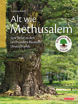 Buch „Alt wie Methusalem“