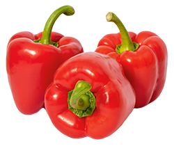 Paprika