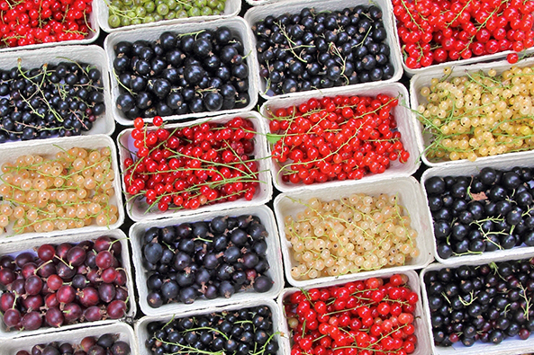 Johannisbeeren