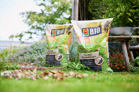 COMPO BIO Herbst-Rasendünger