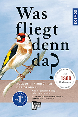 Was fliegt denn da?